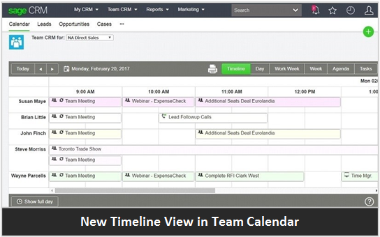 Sage CRM Timeline View in Team Calendar