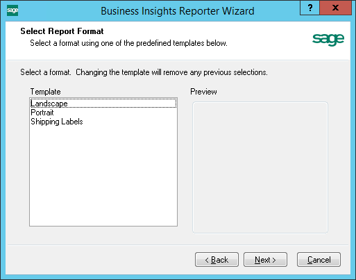 Business Insights Reporter Wizard Template