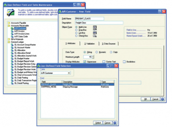 Sage 100 ERP user defined fields setup